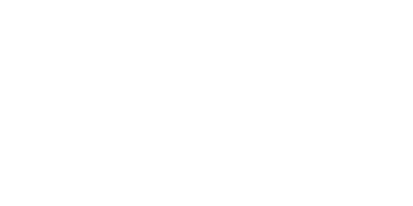 A&V Pet Transport logo